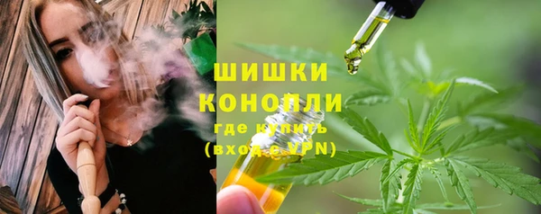 apvp Бородино