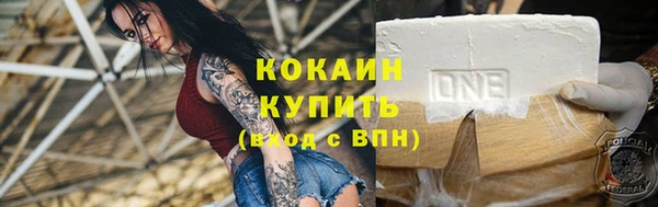 apvp Бородино