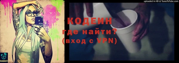 apvp Бородино