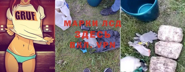 apvp Бородино