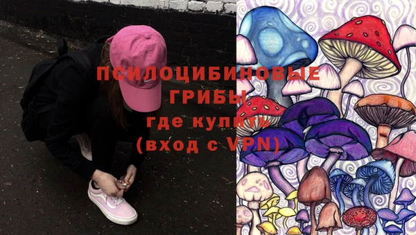 apvp Бородино