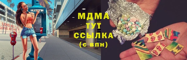 apvp Бородино