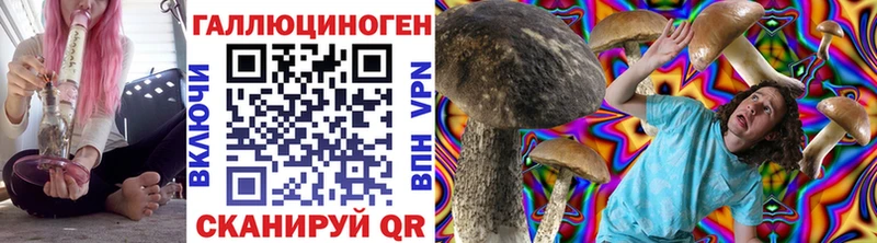 Купить где  Асбест  Галлюциногенные грибы Psilocybine cubensis 